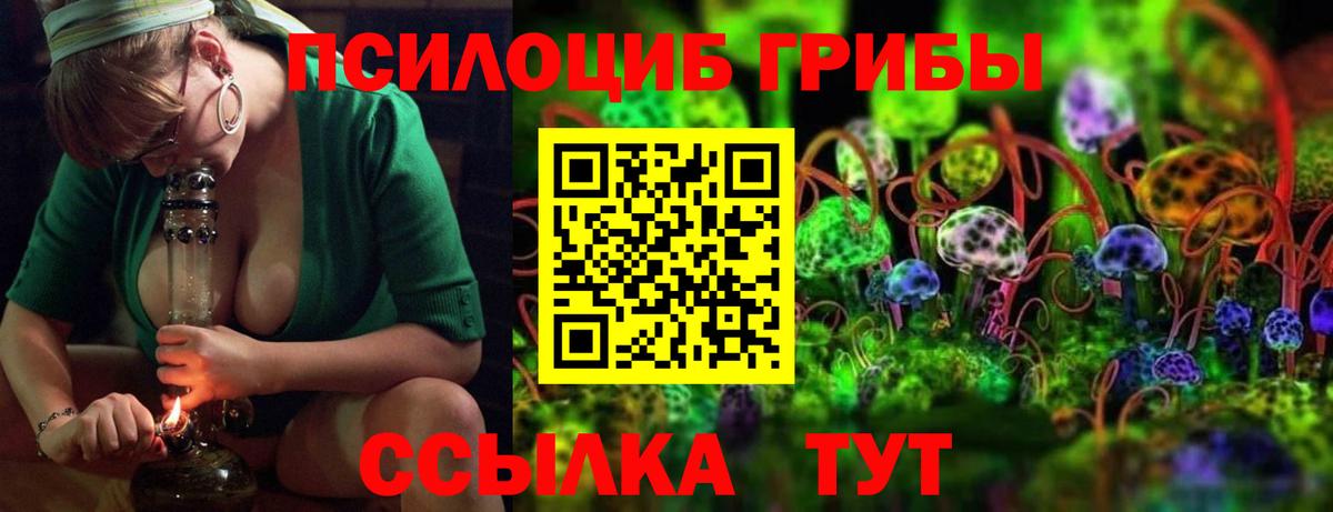 Заводоуковск  Галлюциногенные грибы Psilocybe  Псилоцибиновые грибы мухоморы  Вход с VPN 